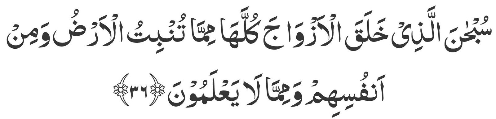 surah yasin ayat 36 in arabic