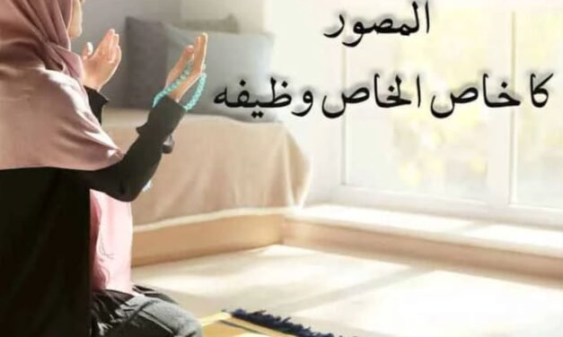 Ya Wadudu Padhne Ke Fayde